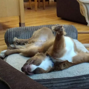 Meet your Posher, Kerry